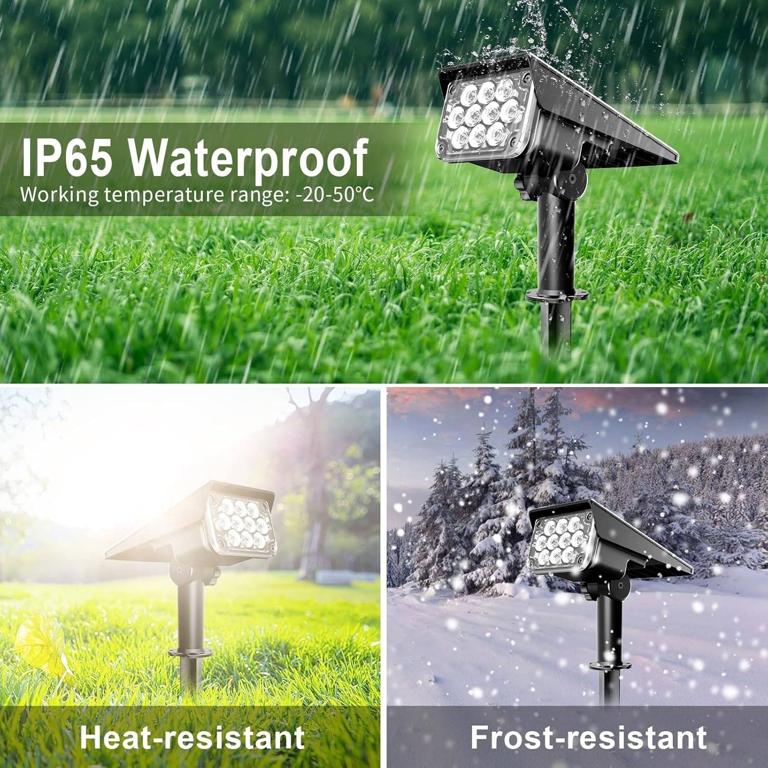 Solar Spot Light: image 2